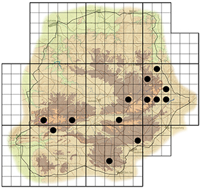 Senecio barbertonicus Waterberg distribution